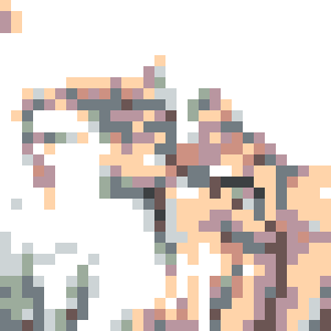 sample